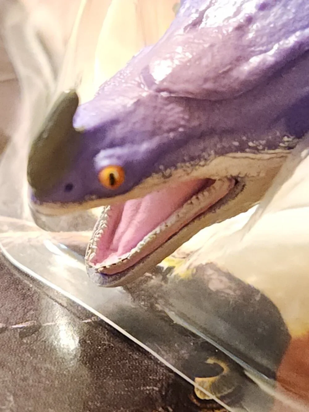 How to Train Your Dragon new box